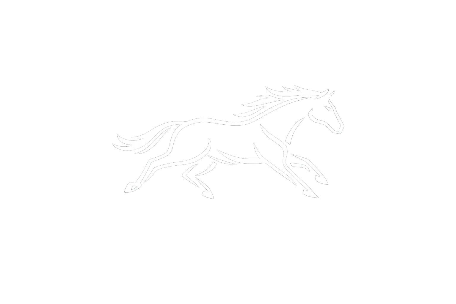 Racing Analytics