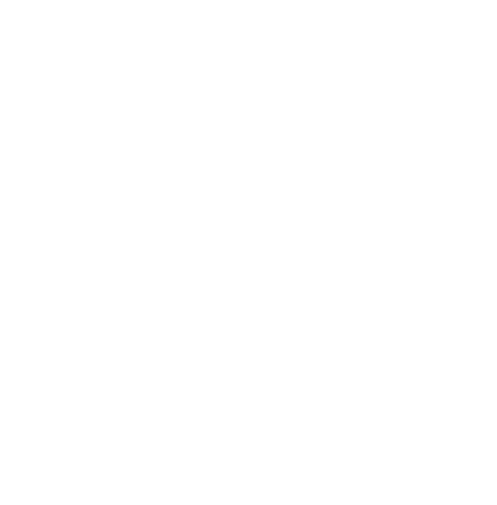 Player Options logo